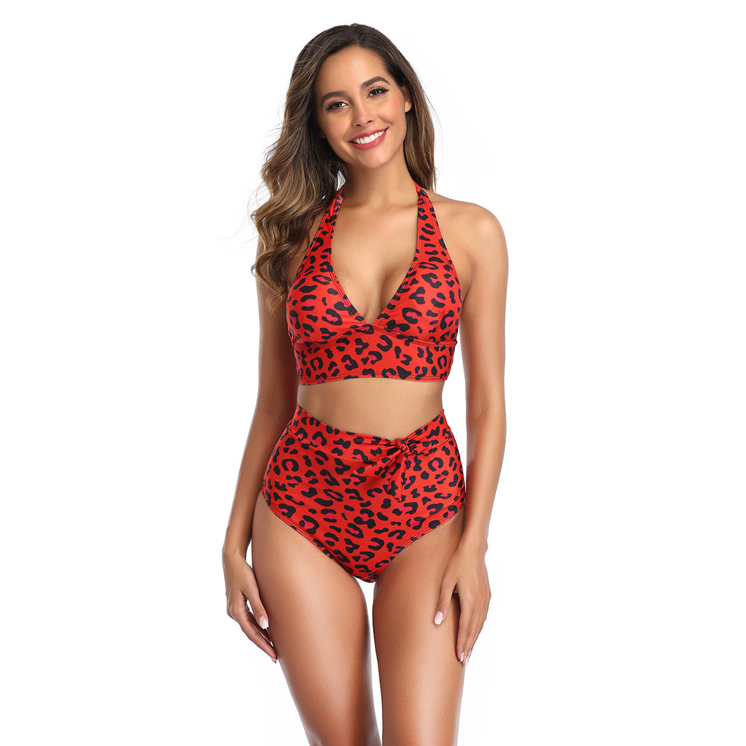 Split Leopard Print Backless Swimsuit