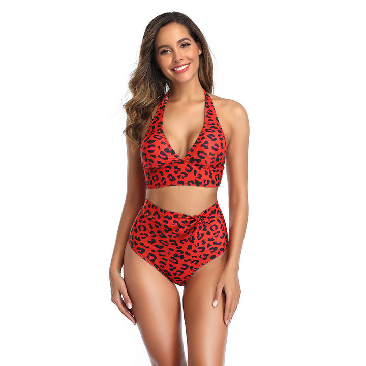 Split Leopard Print Backless Swimsuit