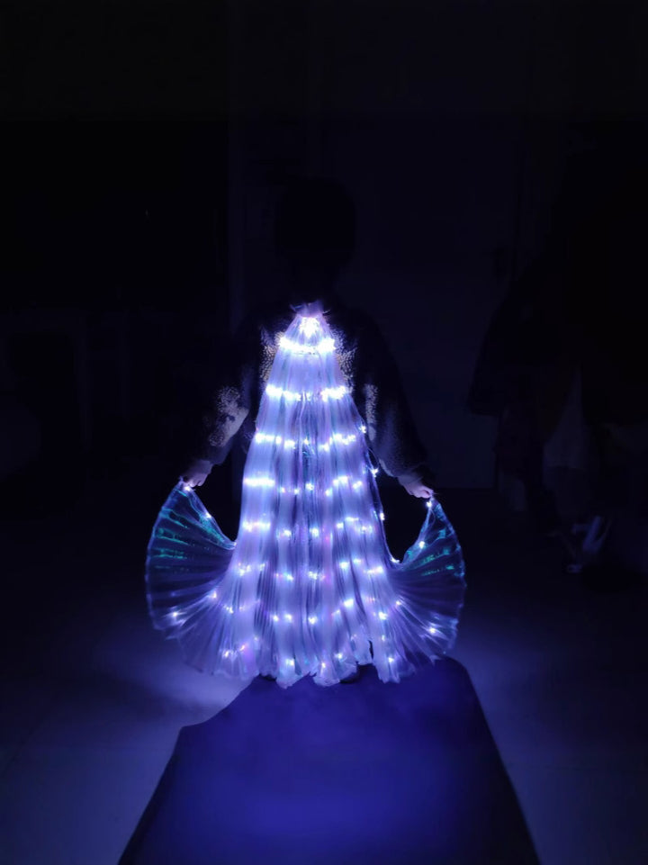LED Illuminated Colorful Butterfly Wings