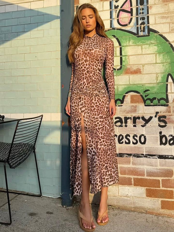 Leopard print long-sleeved dress