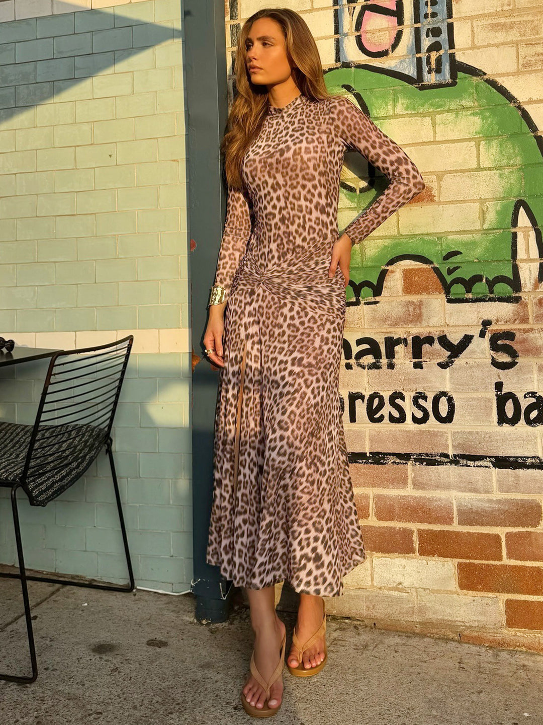 Leopard print long-sleeved dress