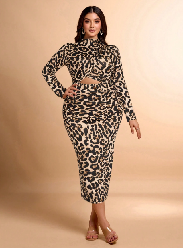 Leopard print long-sleeved dress