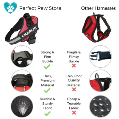 Personalized No Pull Dog Harness