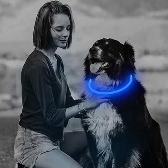 LED LIGHT DOG COLLAR
