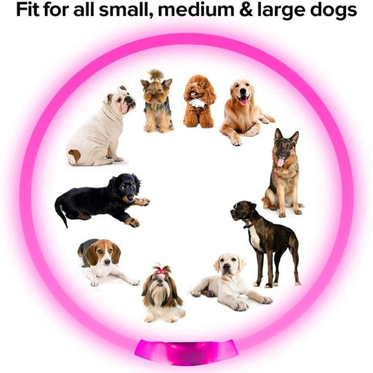 LED LIGHT DOG COLLAR